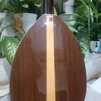 عود برقی|سازهای سنتی|داراب, |دیوار