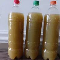 آبغوره دستی تازه
