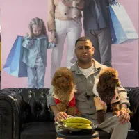 عنواع نژاد سگ های اپارتمانی گارد