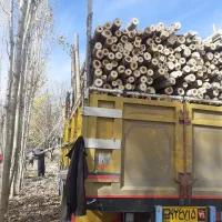 خریدار انواع چوب|خدمات باغبانی و درختکاری|الشتر, |دیوار