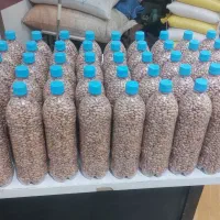 لوبیا چیتی ،برنج فجر