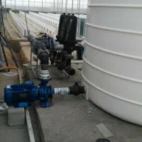 گلخانه ۳۰۰۰|عمدهفروشی|تهران, پاسداران|دیوار