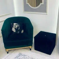 مبلمان ۱۰ نفره +میزنارخوری ۸ نفره|مبلمان خانگی و میز عسلی|سبزوار, رضوان|دیوار