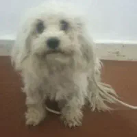 قیمت فروش 1500000تومان