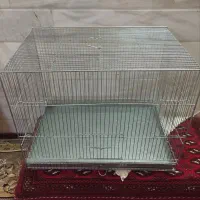 قفس غلامی اصل مهردارسایزبزرگ نونوآکبند|لوازم جانبی حیوانات|قم, هفت تیر|دیوار