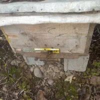 کندو عسل|حیوانات مزرعه|رشت, نخودچر|دیوار