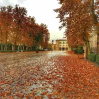 گمشده|اشیا|اسلامآباد غرب, |دیوار