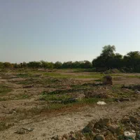 سرگرمی و تفریحی