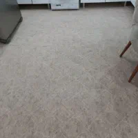 موکت کرم رنگ