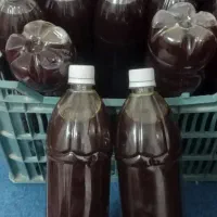 شیره انگور  عسگری