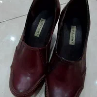 کفش مجلسی
