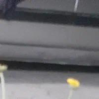 شیشه بالابر زانتیا