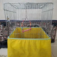 قفس ۵۰در ۵۰ کاسکویی