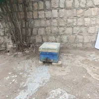کندو عسل