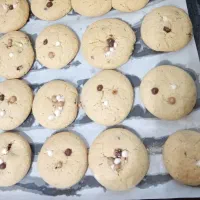 کوکی خانگی|خوردنی و آشامیدنی|کرج, کمال‌شهر|دیوار