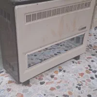 بخاری ۱۰هزار سالم