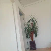 نقاش و نقاشی ساختمان