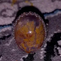 انگشتر شجر کلکسیونی