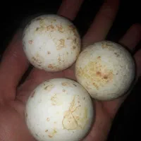 سنگ لونسدالیت یا اسیاب