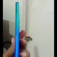 گوشی هو اویY7 گیگ64|موبایل|آزادشهر, |دیوار