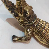 مجسمه تمساح سالم|مجسمه، تندیس، ماکت|بروجرد, |دیوار