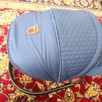 کریر|کالسکه و لوازم جانبی|سبزوار, قلعه‌نو دهزار|دیوار