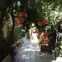 اجاره آپارتمان ۷۳ متری ۱ خوابه زیر همکف در ده‌ونک|اجارهٔ آپارتمان|تهران, ده‌ونک|دیوار
