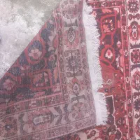 قالی دسباف|گلیم، جاجیم، گبه|بندر انزلی, عباس آباد|دیوار