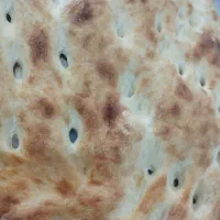 شاطر خمیر گیر