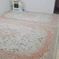 دوتخته فرش نگین مشهد|فرش|مشهد, خواجه ربیع|دیوار