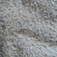 بزنج نیم دانه صدر هاشمی