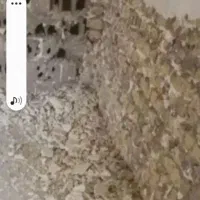 بتن کنی باانصاف