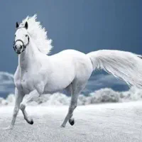 کاغذ دیواری ، پوستر سه بعدی ، نقاشی ساختمان.