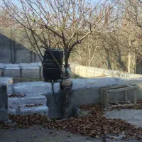 باغ توس ۹۷ معاوضه با خودرو|فروش زمین و ملک کلنگی|مشهد, صیدآباد|دیوار