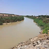 کود حیوانی و خاک شیرین رودخانه ای