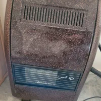 بخاری ادنیس