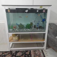 اکواریوم بزرگ