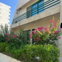 دامون گیت صدف دو خواب ۸۰ متر سند دار سرمایه گذاری|فروش آپارتمان|کیش, |دیوار