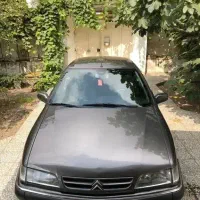 زانتیا نقره ای