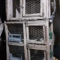 دو عدد جفت کن سالم و خوب|لوازم جانبی حیوانات|قنوات, |دیوار