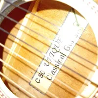 گیتار|گیتار، بیس، امپلیفایر|بروجن, |دیوار