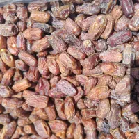 فروش خرما لوکس