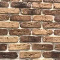 آجر هلندی|عمدهفروشی|تهران, شهرک چیتگر|دیوار