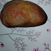 سنگ قیمتی|جواهرات|قم, شهر قائم|دیوار