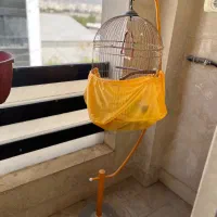 قفس مرغ عشق|لوازم جانبی حیوانات|تهران, دهقان|دیوار