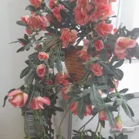 گل مصنوعی|گل مصنوعی|کرج, اصفهانی‌ها|دیوار