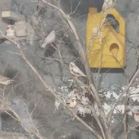 فنج دورگ نسل گینگ