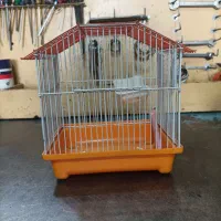 قفس