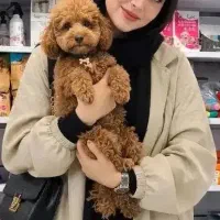 توله پودل تاینی توی بمب کیفیت