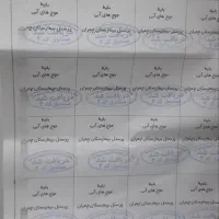 بلیط ورزشی